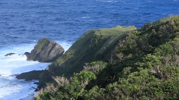 Amami oshima Kagoshima mavi okyanus yakınında Miyakozaki promontory — Stok video