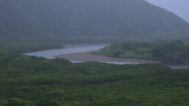 Foresta di mangrovie ad Amami oshima Kagoshima giorno di pioggia — Video Stock