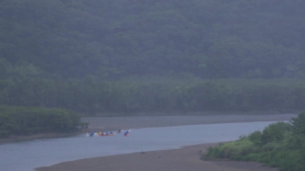 Bosque de manglares en Amami oshima Kagoshima día lluvioso — Vídeos de Stock