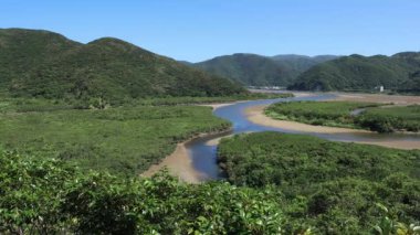 Amami oshima Kagoshima güneşli bir gün Mangrov orman