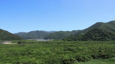 Amami oshima Kagoshima güneşli bir gün Mangrov orman