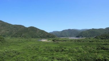Amami oshima Kagoshima güneşli bir gün Mangrov orman
