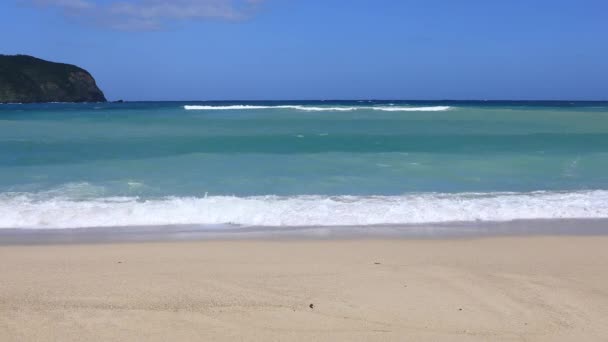 鹿児島県奄美大島の国直ビーチで穏やかな波 — ストック動画
