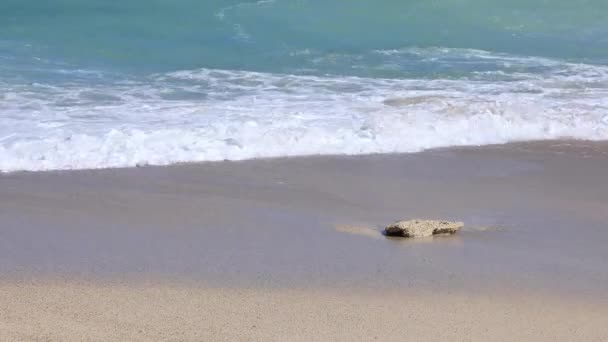 Onde miti sulla spiaggia di Kuninao ad Amami oshima Kagoshima — Video Stock