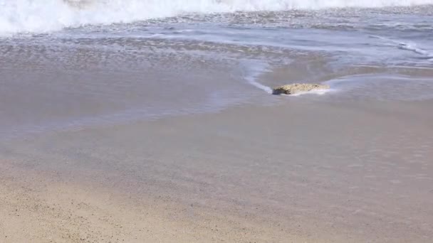 Ήπια κύματα στην παραλία Kuninao στην Αμάμι Οσίμα Καγκοσίμα — Αρχείο Βίντεο