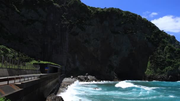 Skalní útes tokuhama u modrého oceánu v širokém okolí Amami Kagošima — Stock video