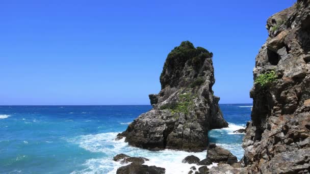 Tokuhama-Klippe in der Nähe des blauen Ozeans in amami oshima kagoshima Weitschuss — Stockvideo