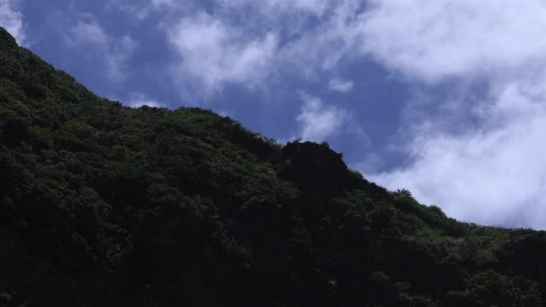 Acantilado Tokuhama cerca del océano azul en Amami oshima Kagoshima tiro ancho — Vídeos de Stock