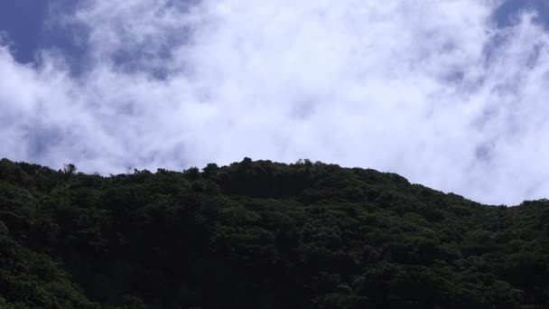 东岛悬崖附近的蓝色海洋在鹿儿岛岛宽拍摄 — 图库视频影像