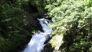 Amami oshima Kagoshima güneşli bir gün yeşil ormanda Materiya şelale