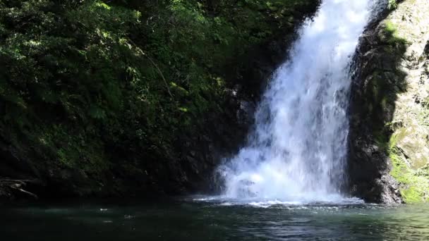 Materiya vattenfall i den gröna skogen i Amami Oshima Kagoshima solig dag — Stockvideo