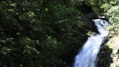 Amami oshima Kagoshima güneşli bir gün yeşil ormanda Materiya şelale