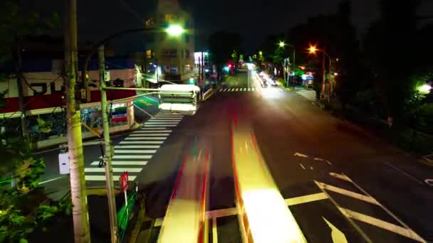 Tokyo'da Oume caddesinde şehir caddesinin bir timelapse uzun pozlama geniş çekim — Stok video