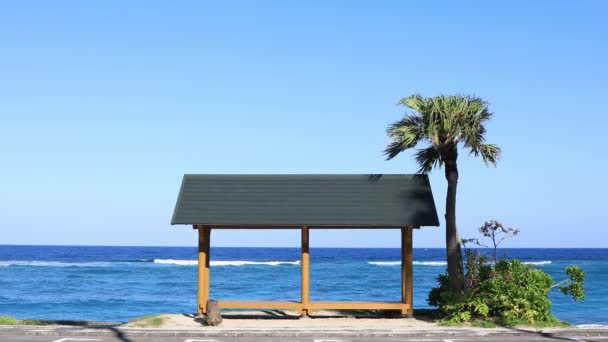 Palm boom en paviljoen op het strand van Ohama in Amami Oshima Kagoshima copyspave — Stockvideo