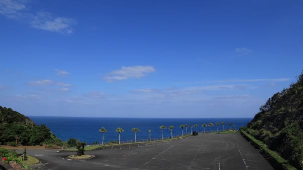 Palm Tree na plaży Ohama w Amami Oshima Kagoshima — Wideo stockowe