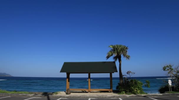 Palmera y pabellón en la playa de Ohama en Amami oshima Kagoshima copyspave — Vídeo de stock