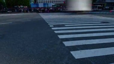 Shibuya Tokyo gündüz geniş çekim geçişte insanların bir timelapse