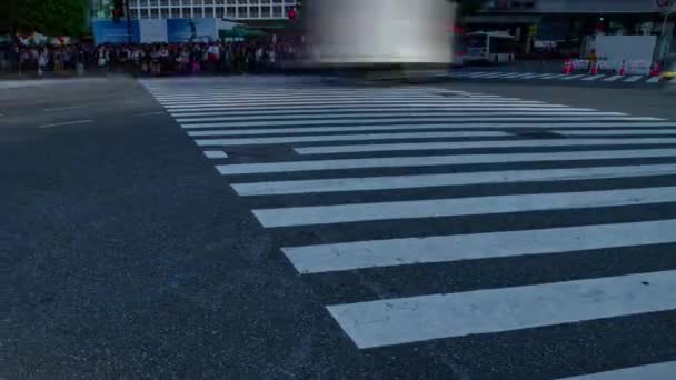 Боязкого людей на перетині в Сібуя Tokyo денний широкий постріл — стокове відео