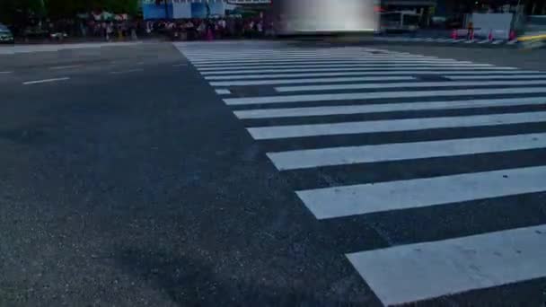 En Timelapse människor vid korsningen i Shibuya Tokyo dagtid wide shot — Stockvideo