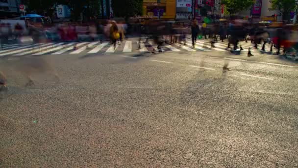 Een timelapse van mensen bij de kruising in Shibuya Tokyo overdag breed schot — Stockvideo