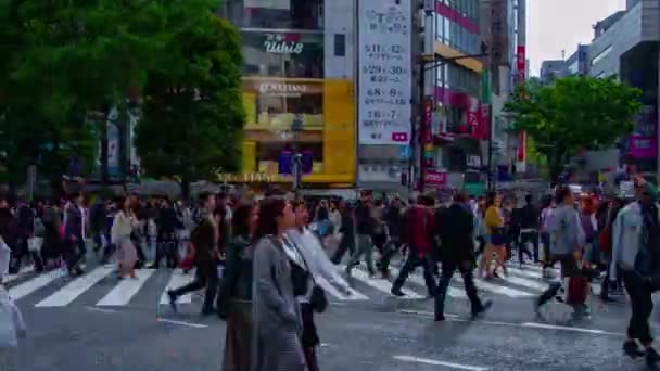 Сроки людей на переправе в Сибуя Токио дневной широкомасштабный снимок — стоковое видео
