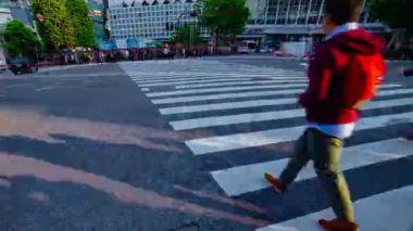 Shibuya Tokyo gündüz geniş çekim geçişte insanların bir timelapse