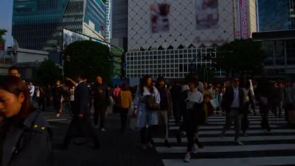 Een timelapse van mensen bij de kruising in Shibuya Tokyo overdag breed schot — Stockvideo