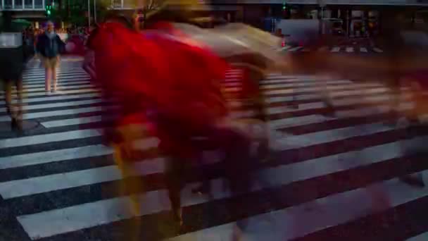 Ein Zeitraffer von Menschen an der Kreuzung in Shibuya Tokyo tagsüber Weitschuss — Stockvideo
