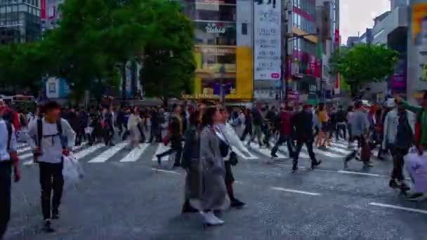 Een timelapse van mensen bij de kruising in Shibuya Tokyo overdag breed schot — Stockvideo