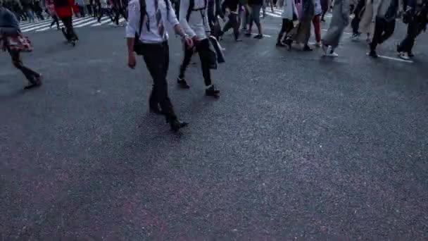 Een timelapse van mensen bij de kruising in Shibuya Tokyo overdag breed schot — Stockvideo