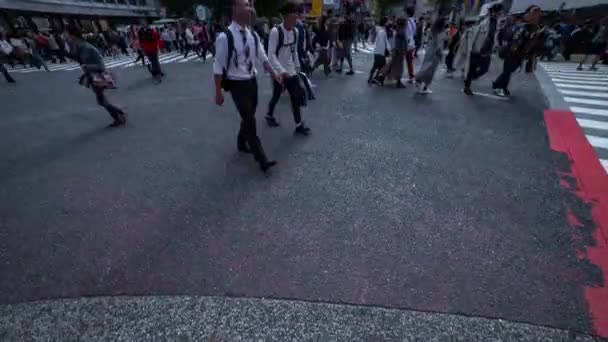 Een timelapse van mensen bij de kruising in Shibuya Tokyo overdag breed schot — Stockvideo