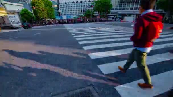 渋谷東京の交差点でのタイムラプス — ストック動画