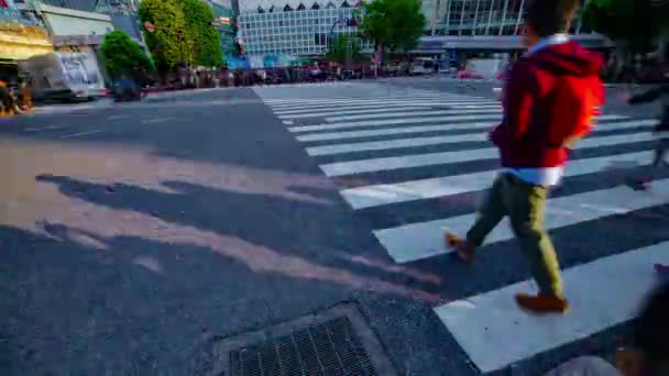 Een timelapse van mensen bij de kruising in Shibuya Tokyo overdag breed schot — Stockvideo