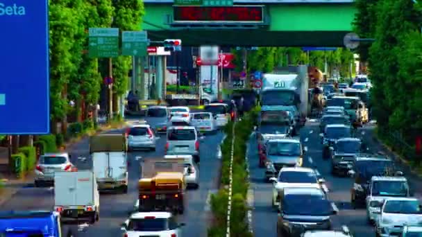 Un timelapse de la calle del centro en la avenida Kanpachi en Tokio plano diurno — Vídeo de stock