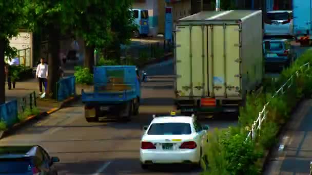 Een timelapse van Downtown Street op Kanpachi Avenue in Tokio overdag breed schot — Stockvideo