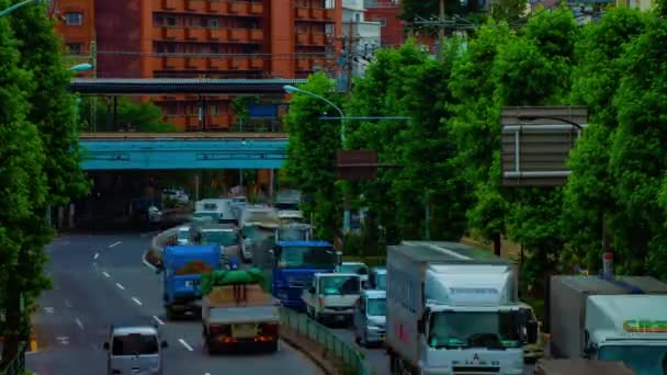 Uma timelapse da baixa da rua na avenida Kanpachi em Tóquio — Vídeo de Stock