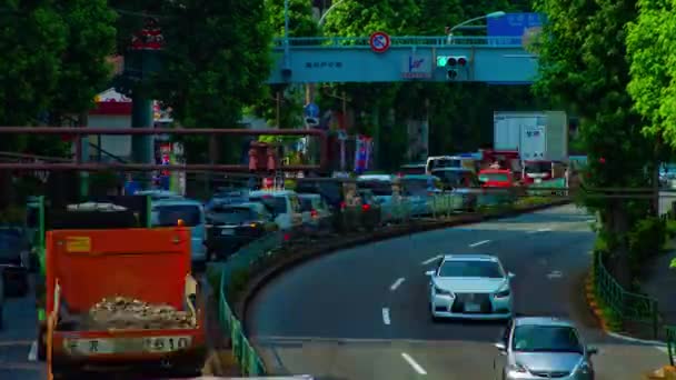 Zeitraffer der Innenstadt-Straße an der Kanpachi-Allee in Tokio bei Tageslicht — Stockvideo
