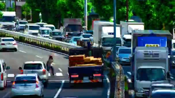 Časová prodleva na ulici Kanpachi v Tokiu, denní záběr — Stock video