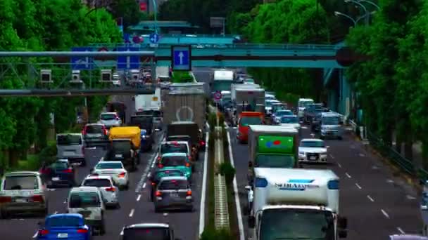 Eine Autostraße in der Kanpachi-Allee in Tokio im Zeitraffer — Stockvideo