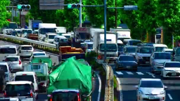 Timelapse ulicy samochodu na Kanpachi alei w Tokio dzienny szeroki strzał — Wideo stockowe