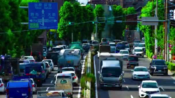 Timelapse ulicy samochodu na Kanpachi alei w Tokio dzienny szeroki strzał — Wideo stockowe