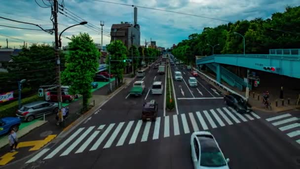 Timelapse ulicy samochodu na Kanpachi alei w Tokio dzienny szeroki strzał — Wideo stockowe