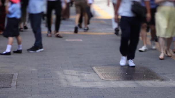 Ходячие люди на улице в центре города в Синдзюку — стоковое видео
