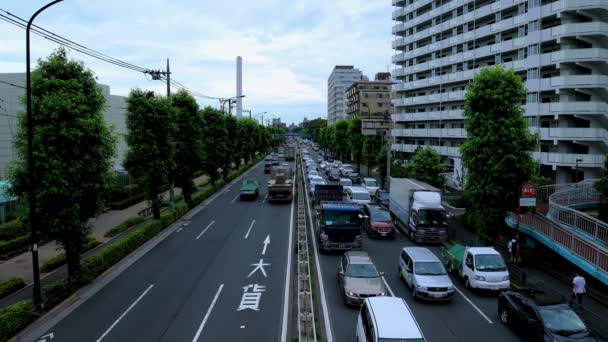 Downtown Street på kanpachi Avenue i Tokyo dagtid wide shot — Stockvideo