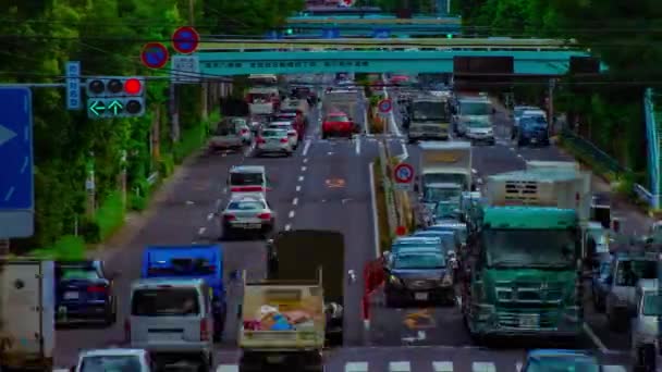 Timelapse ulicy samochodu na Kanpachi alei w Tokio dzienny szeroki strzał — Wideo stockowe