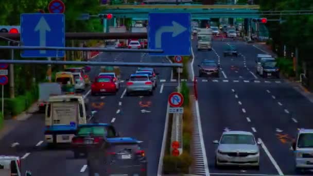 Timelapse ulicy samochodu na Kanpachi alei w Tokio dzienny szeroki strzał — Wideo stockowe