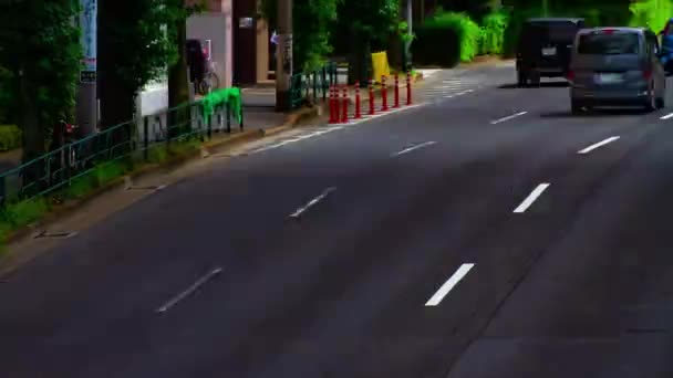 Um timelapse da rua do carro na avenida Kanpachi em Tóquio daytime wide shot — Vídeo de Stock