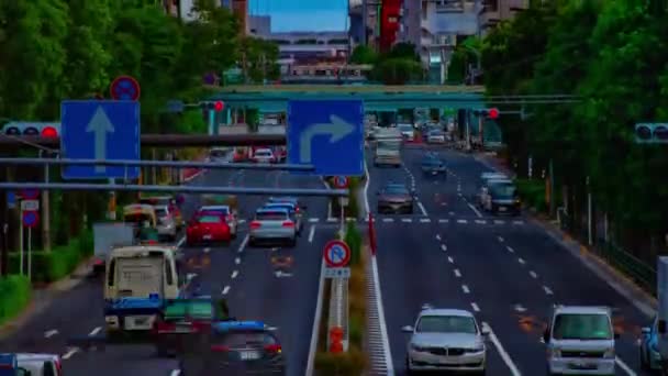 Timelapse ulicy samochodu na Kanpachi alei w Tokio dzienny szeroki strzał — Wideo stockowe