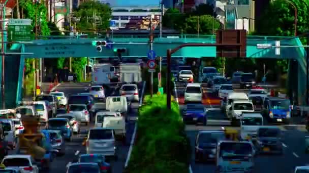 Timelapse ulicy samochodu na Kanpachi alei w Tokio dzienny szeroki strzał — Wideo stockowe