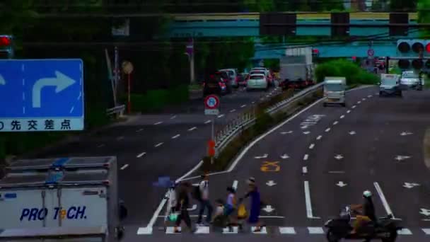 Timelapse ulicy samochodu na Kanpachi alei w Tokio dzienny szeroki strzał — Wideo stockowe